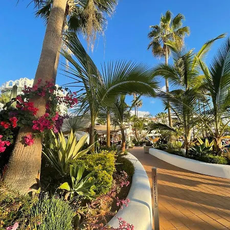 First Line Appartement Arona (Tenerife)